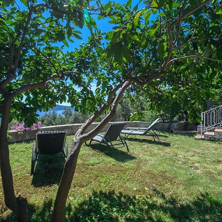 Apartment Mario - Veliki Stan Za Odmor - Terasa- Vrt - Bazen - Pogled More, Izoliran Orasac Dış mekan fotoğraf