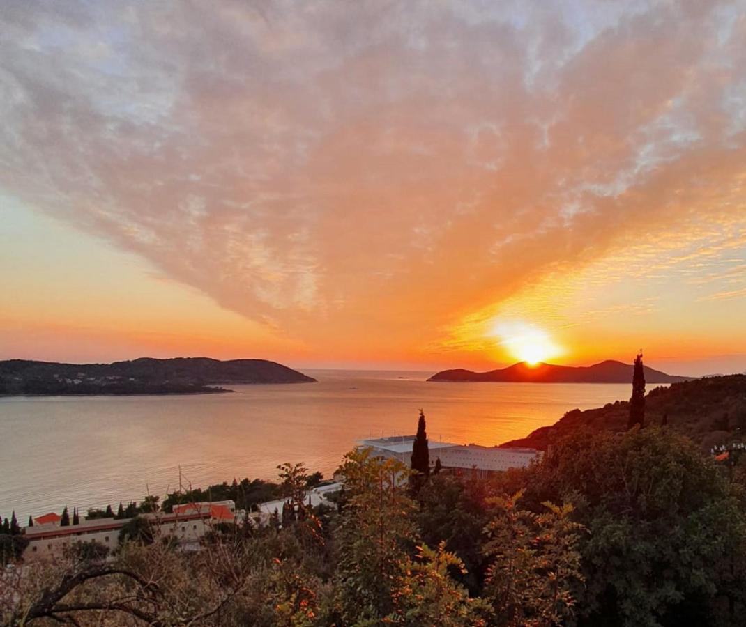 Apartment Mario - Veliki Stan Za Odmor - Terasa- Vrt - Bazen - Pogled More, Izoliran Orasac Dış mekan fotoğraf